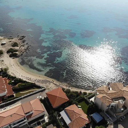 Cormorani 7 *